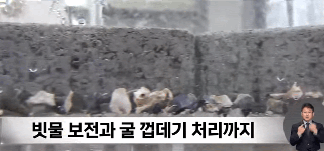 버려지는 굴껍데기로 신규 블록 제조한 한국 기업 | 인스티즈