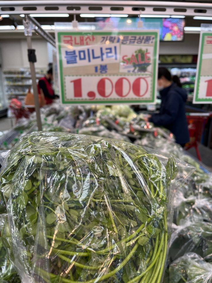 미나리값이 더 내려감 우리집은 축제중 | 인스티즈