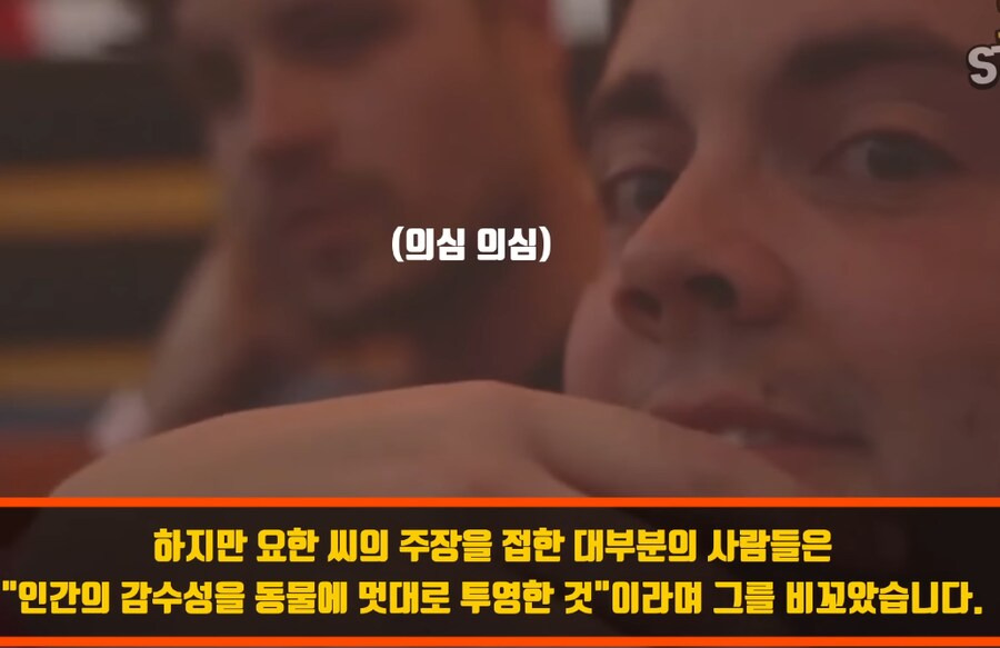 인간외에 자살을 선택하는 동물이 있을까? | 인스티즈