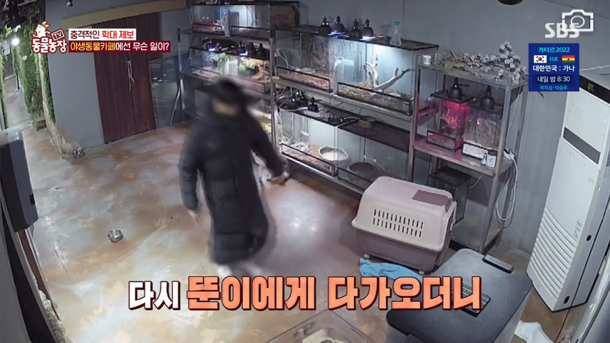 현재 난리난 동물농장에 나온 동물카페 사장.jpg | 인스티즈