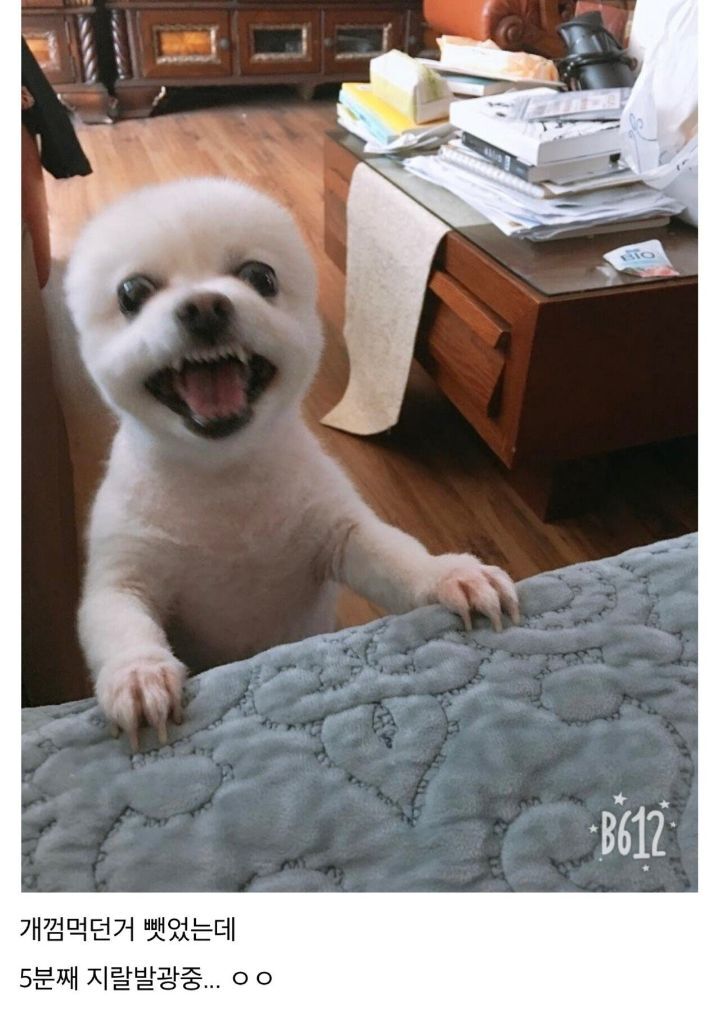 곧 다가올 추석기념 디씨 명절 대참사.jpg | 인스티즈