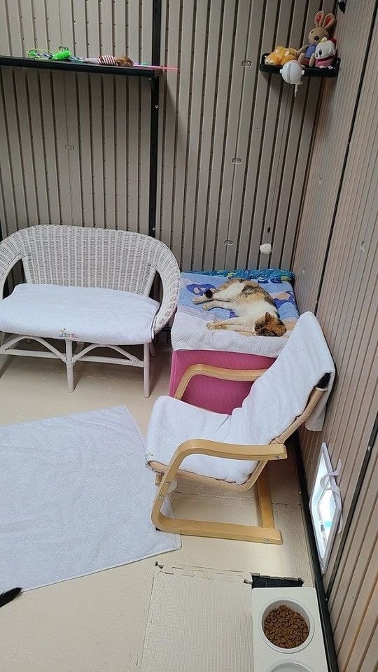 경남의 한 아파트의 길고양이 집.jpg | 인스티즈
