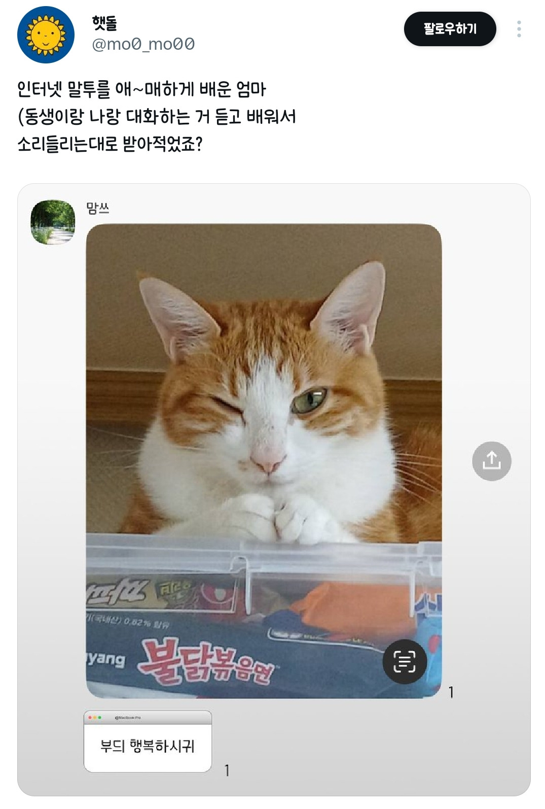 인터넷 말투를 애매하게 배운 엄마 | 인스티즈