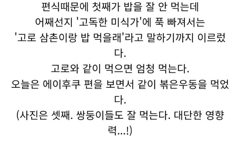 아이의 편식 습관을 고쳐준 일본 프로그램 | 인스티즈