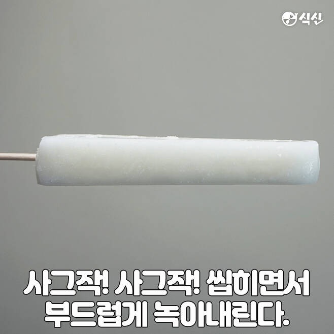 우린 이걸 얼음이라고 하기로 했어요 | 인스티즈