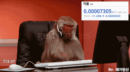 현 비트코인 상황 짤.jpg | 인스티즈