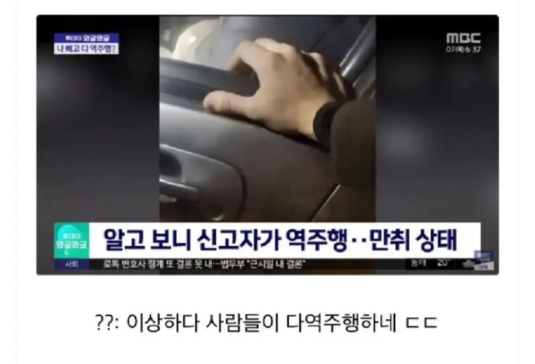 단체로 역주행하는거 보고 신고 | 인스티즈