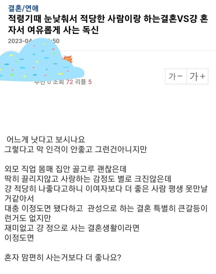 적령기때 눈낮춰서 적당한 사람이랑 하는 결혼vs그냥 혼자서 여유롭게 사는 독신 | 인스티즈