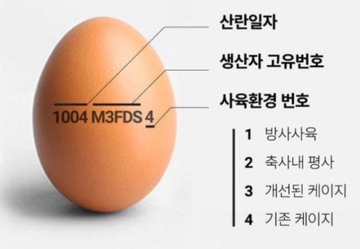 계란에 적혀있는 정보들 | 인스티즈