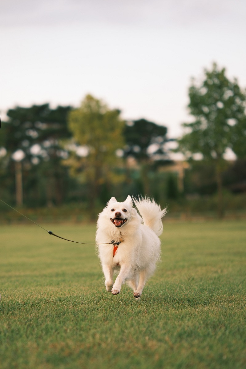 후지필름 카메라로 담아본 일상 스냅사진 (4) - 웃긴자료 ‥‥‥‥‥、 - 도탁스 (DOTAX)