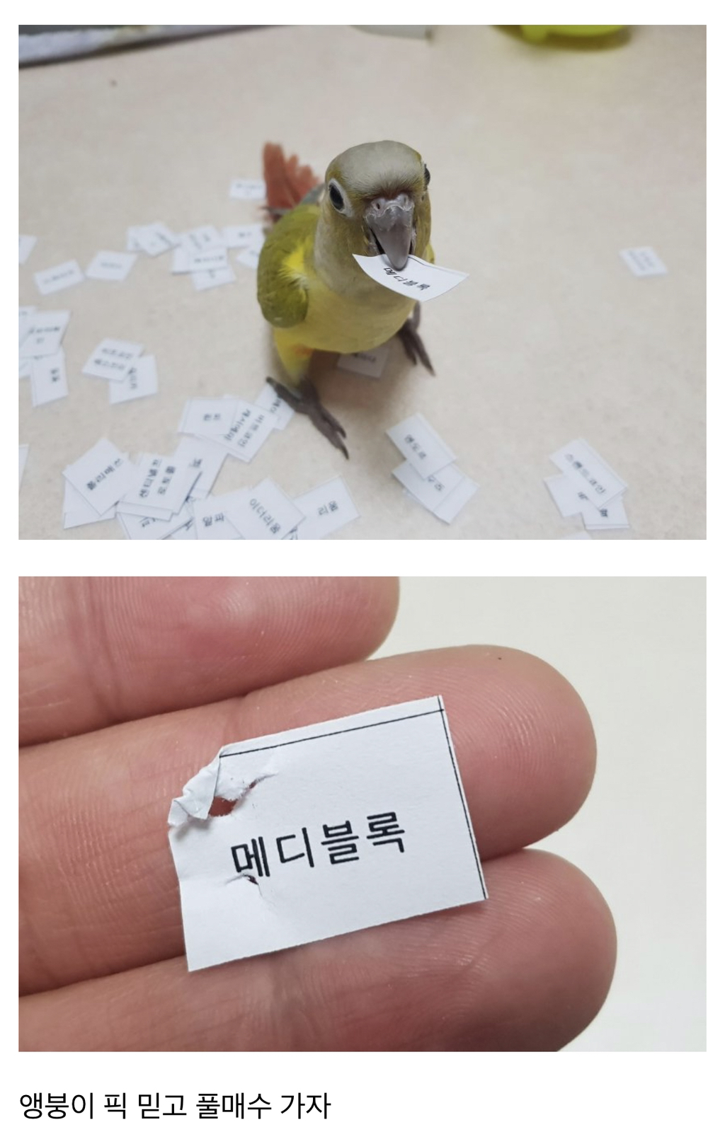 오늘자 비트코인갤 레전드 - 악플달면 쩌리쩌려버려 - ＊여성시대＊ 차분한 20대들의 알흠다운 공간