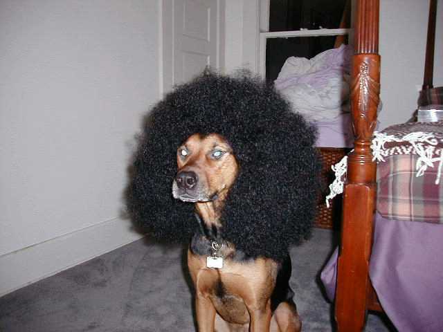 545af704cb991afa14e4d7320491c36608f4f939