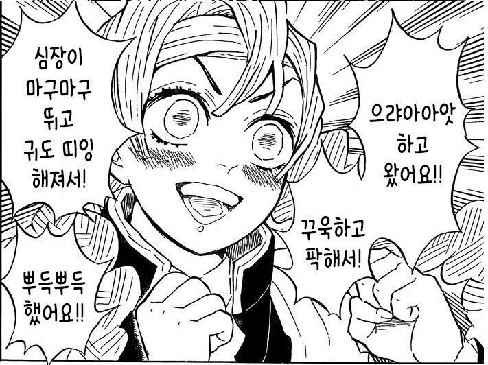 스포)귀멸팬들이 만든 귀살대 주들의 별명.jpg | 인스티즈