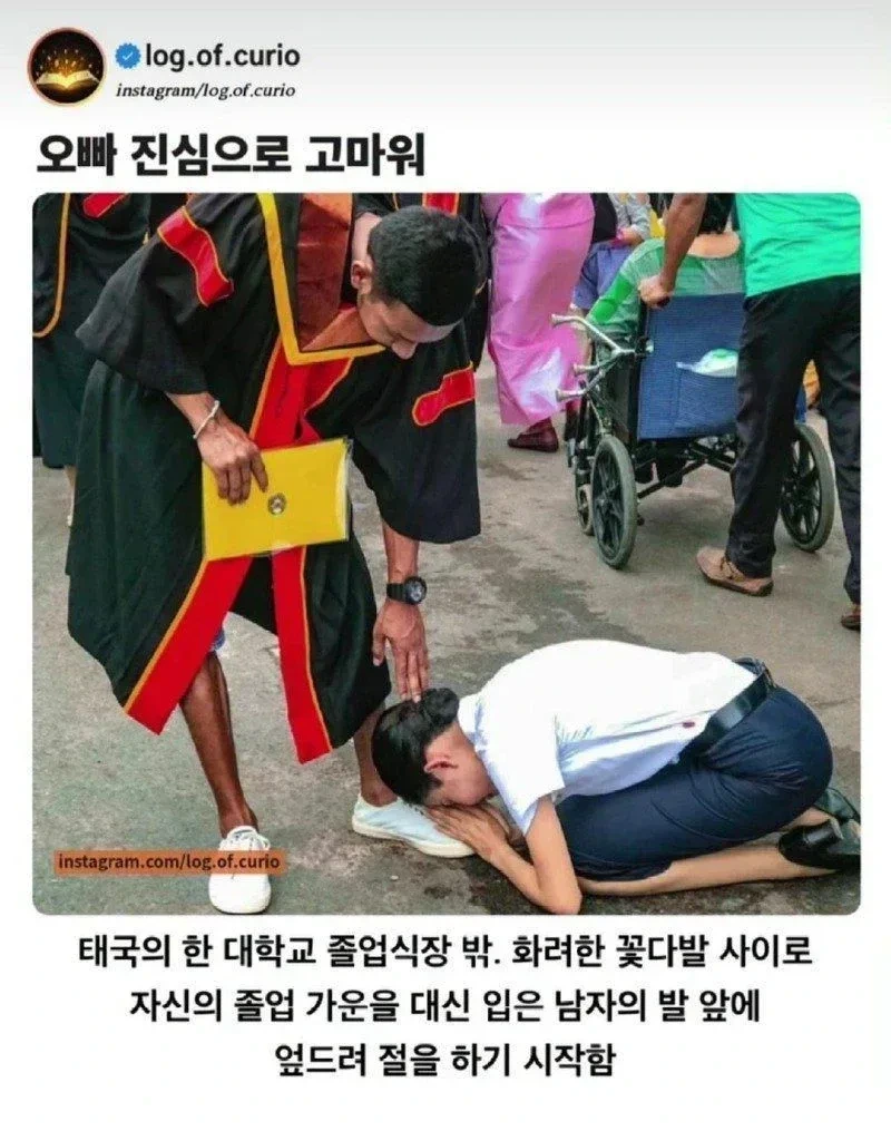 대학 졸업식날 친오빠에게 절하는 여자 | 인스티즈