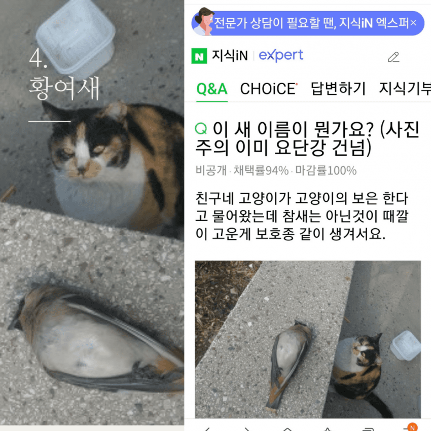 저는 장난감이 아니에요.jpg | 인스티즈