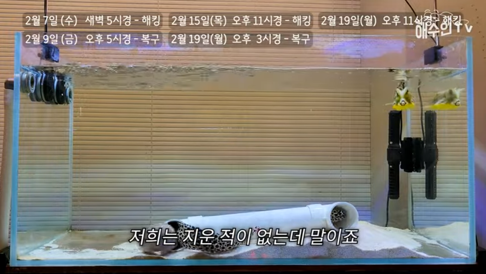 유튜브 계정이 3번이나 해킹 당한 이유 | 인스티즈