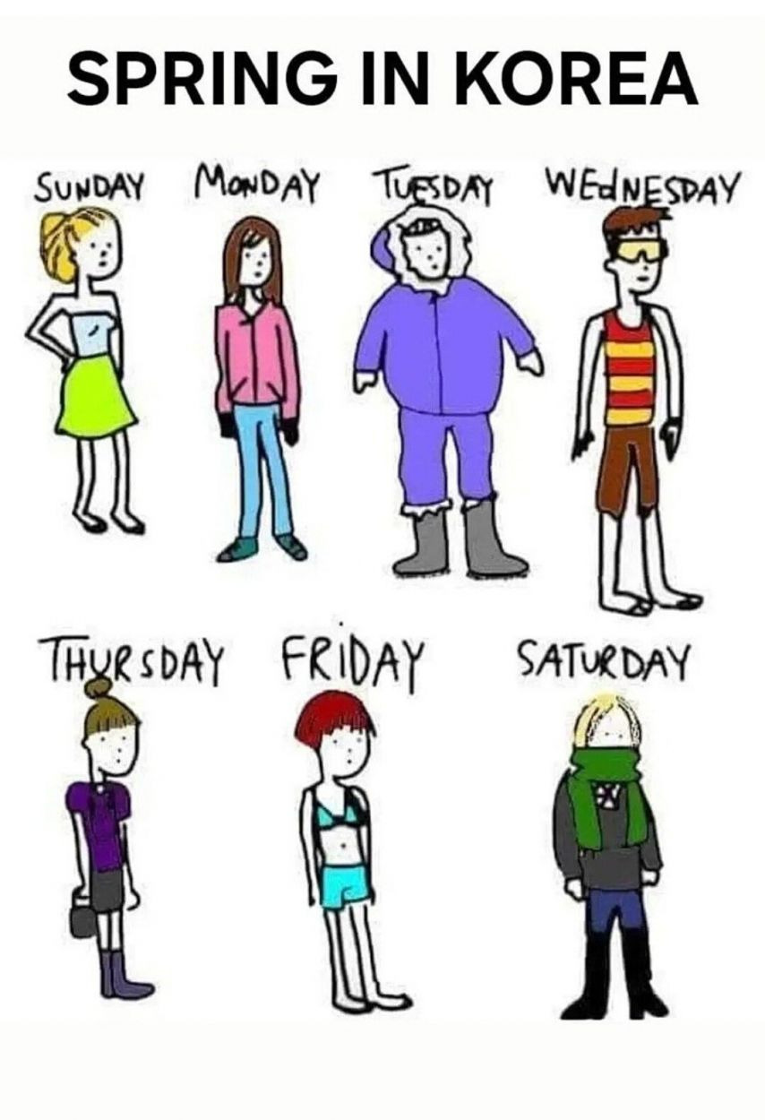 해외에서 밈화 되어버린 한국 봄날씨 | 인스티즈