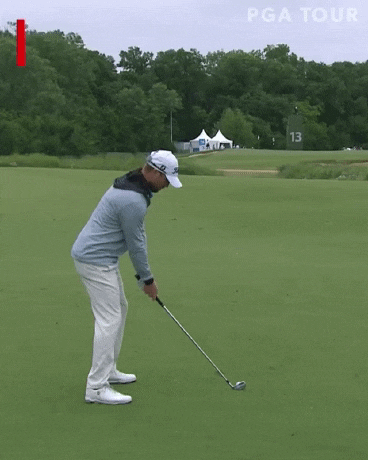 홀인원 보다 기분 좋은 샷.gif | 인스티즈
