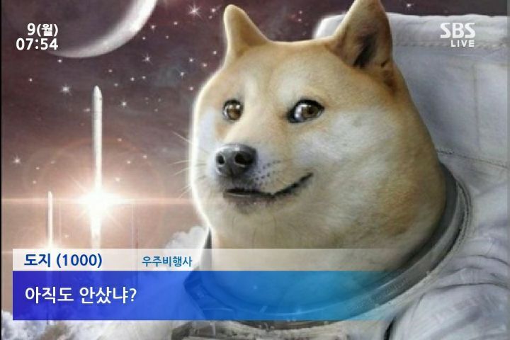 아 이미지