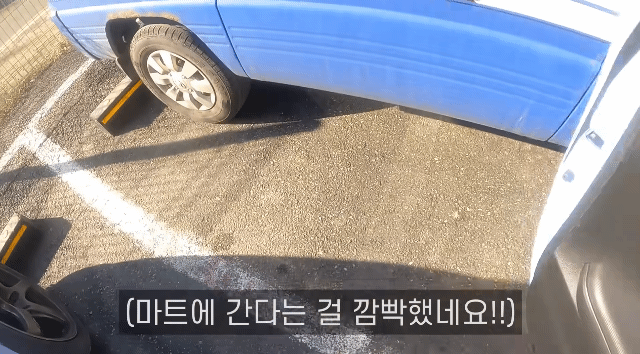 키 221cm 하승진이 바라보는 세상.gif | 인스티즈