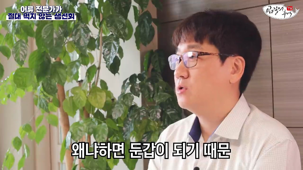 어류 전문가가 꼽은 절대 먹지 않는 생선회 7개 | 인스티즈