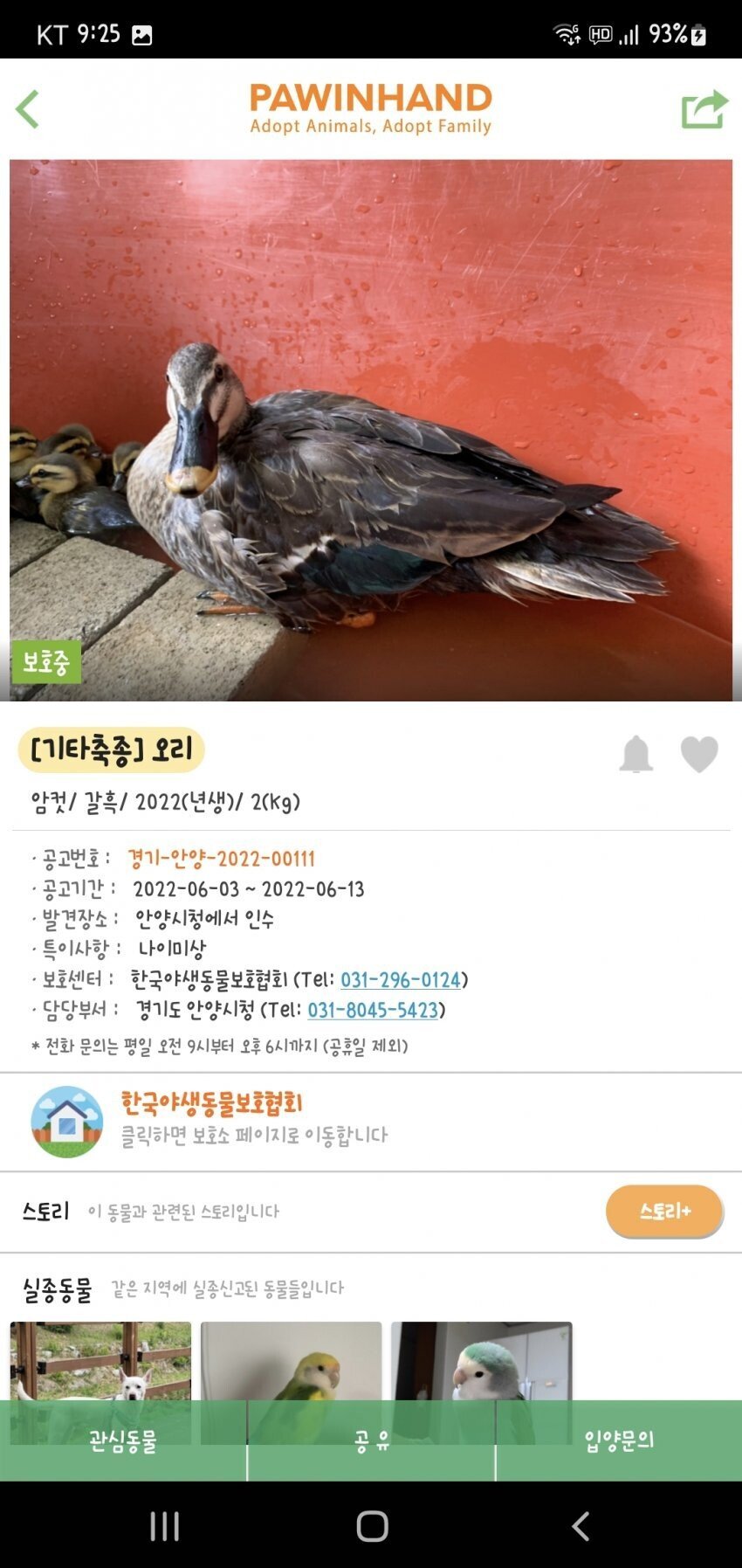 오리가족 납치 | 인스티즈