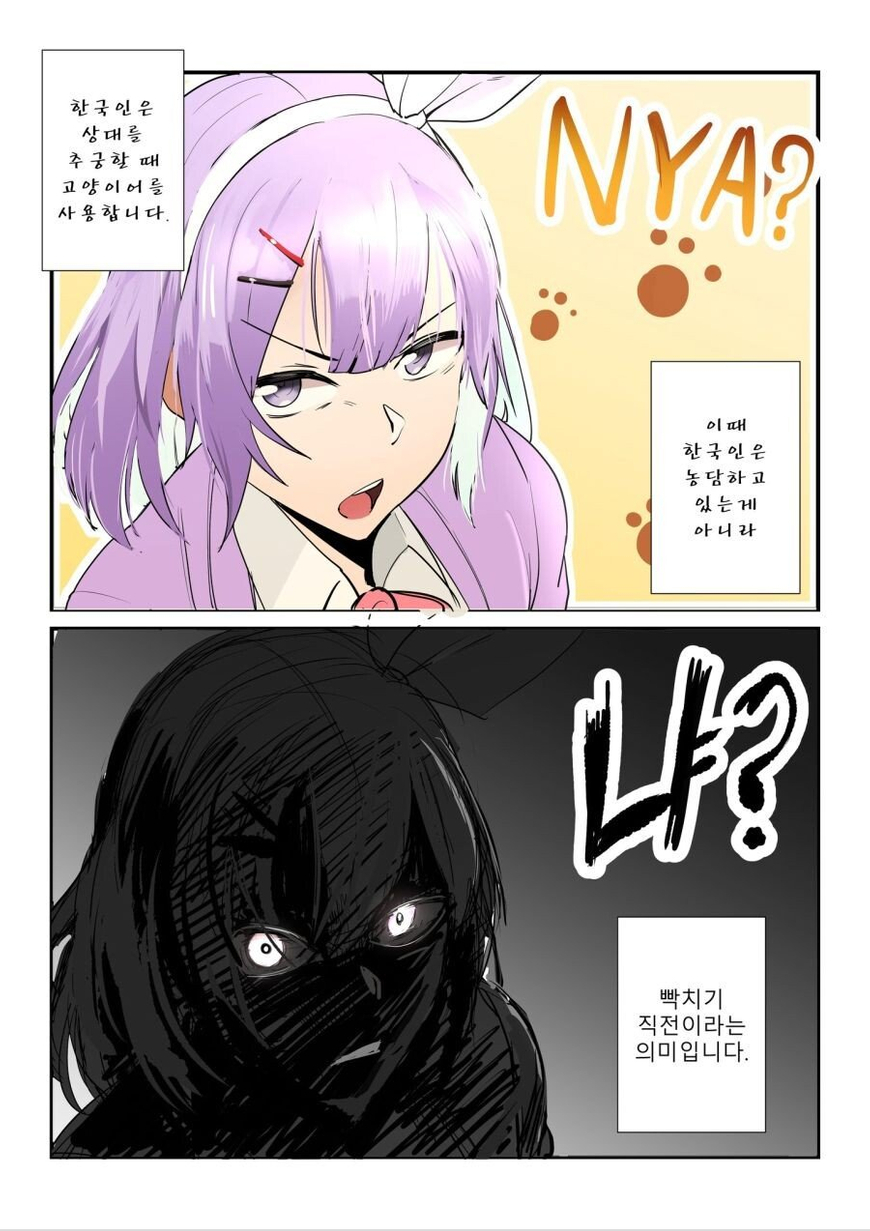 예로부터 한국인은 화가 나면 고양이가 되었다 | 인스티즈