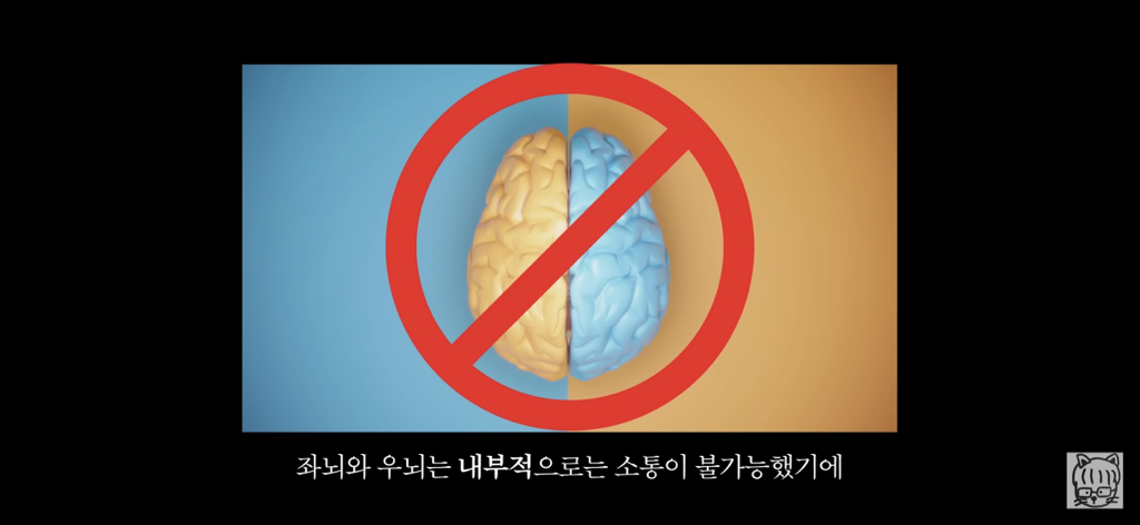 (스압)분리 뇌 실험 | 인스티즈