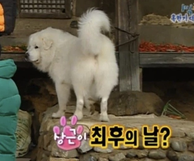 거침없었던 1박 2일 레전드 시절 | 인스티즈