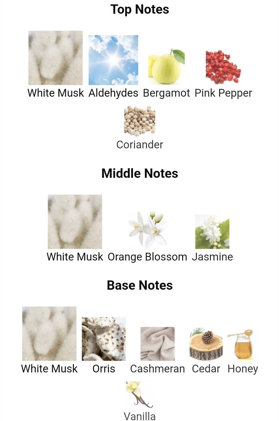 가을겨울에 쓰기 좋은 머스크 노트 향수들.jpg | 인스티즈
