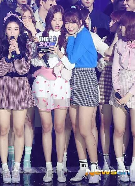 아이브 안녕즈 안유진 장원영.gif | 인스티즈