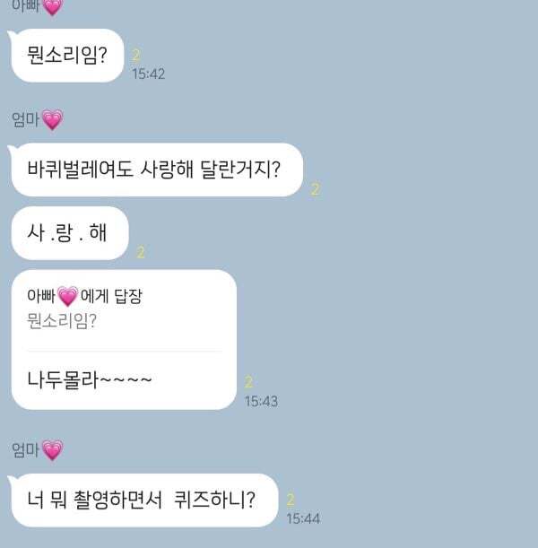 부모님에게 if바퀴벌레 물어본 엔믹스 멤버들.jpgif | 인스티즈