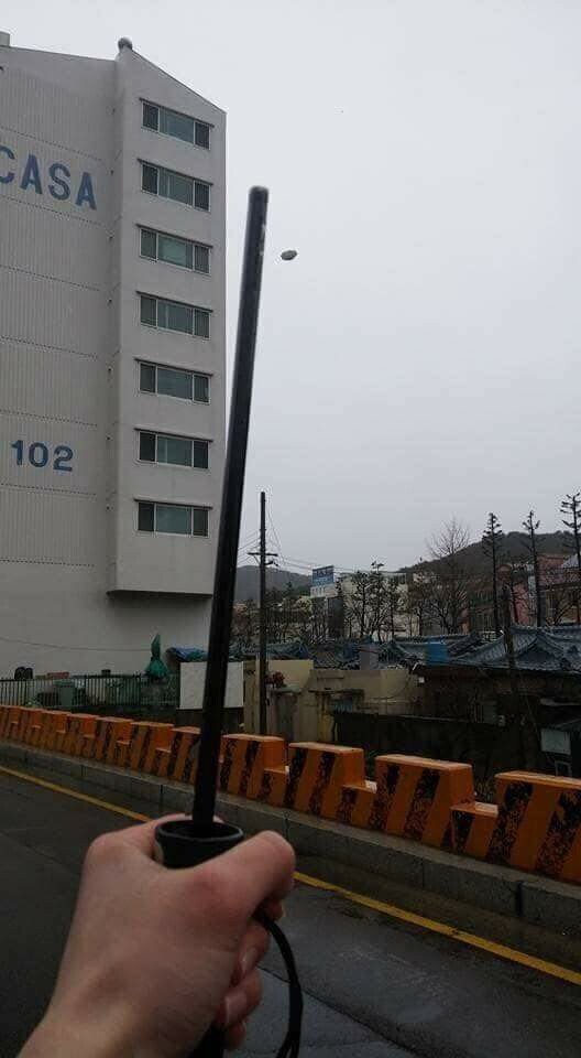 다이소우산 위엄 | 인스티즈