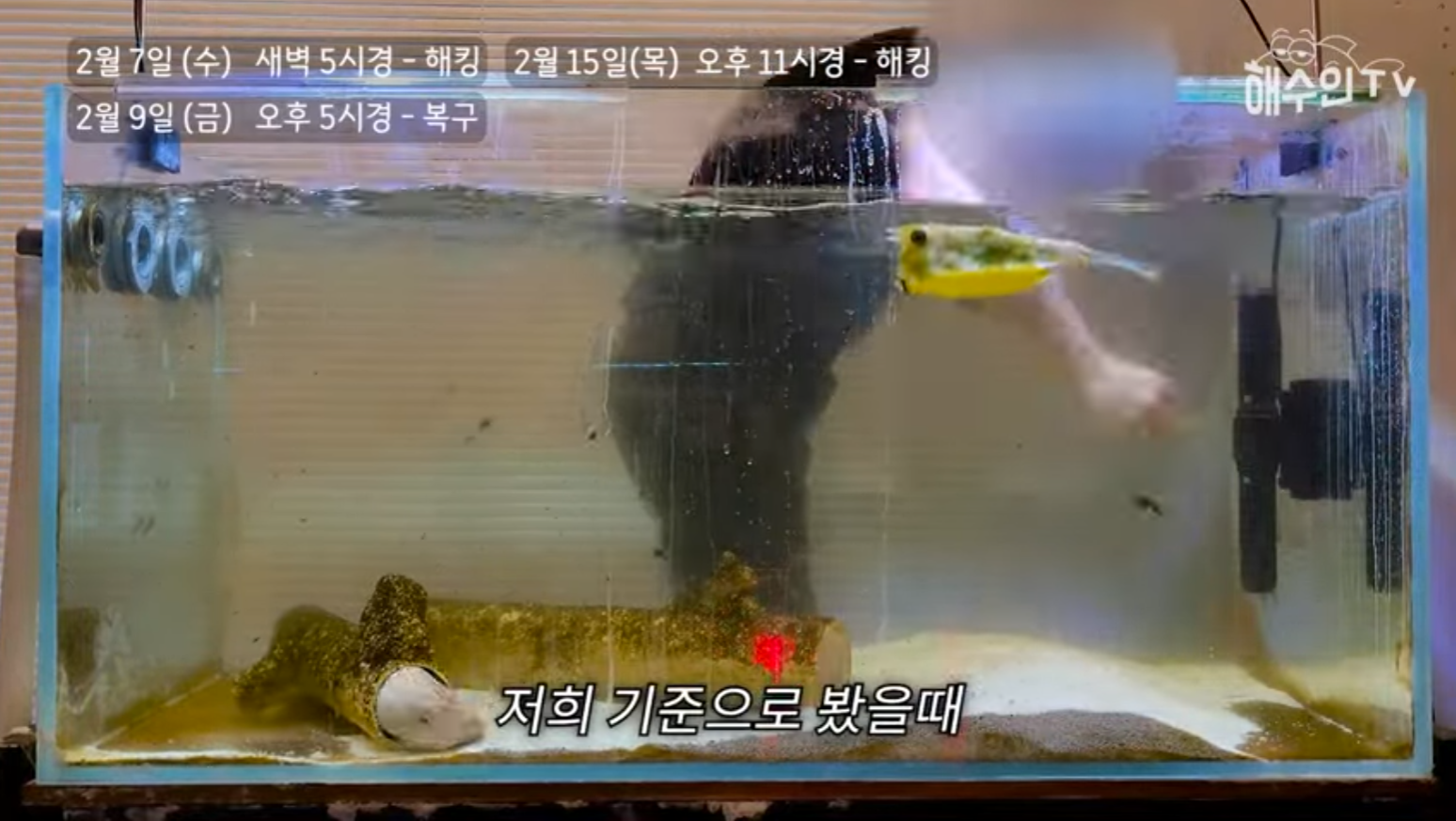 유튜브 계정이 3번이나 해킹 당한 이유 | 인스티즈