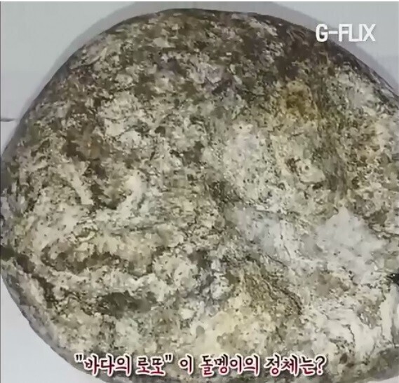 해안가 갔을때 유심히 잘 살펴봐야하는 이유 | 인스티즈