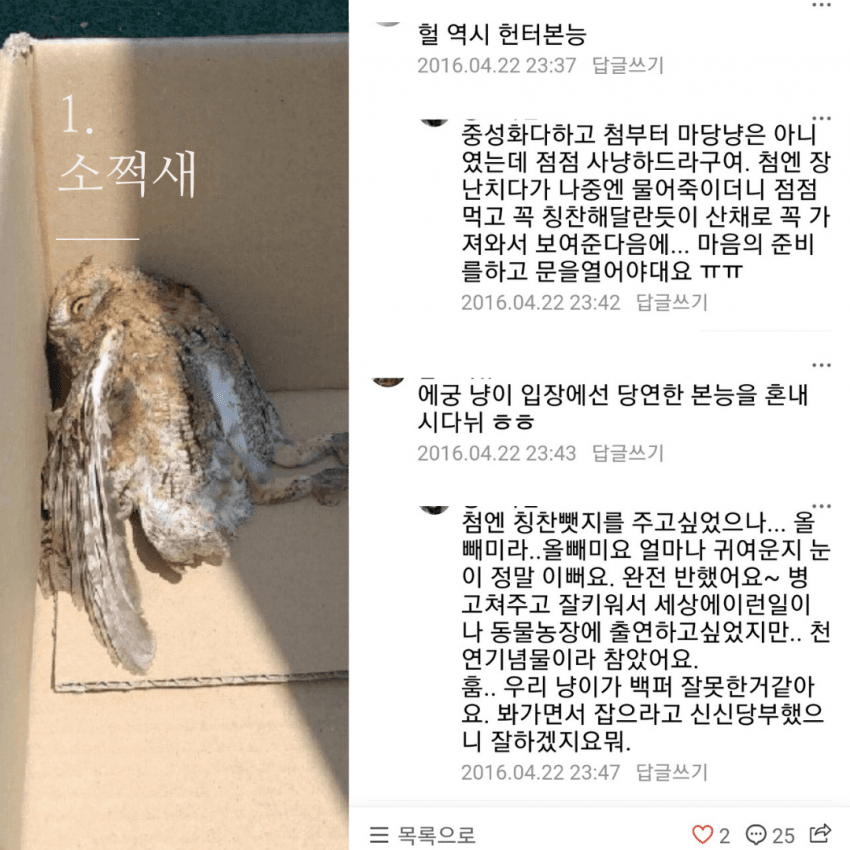 저는 장난감이 아니에요.jpg | 인스티즈