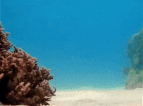 귀엽고 당당한 회원님 | 인스티즈