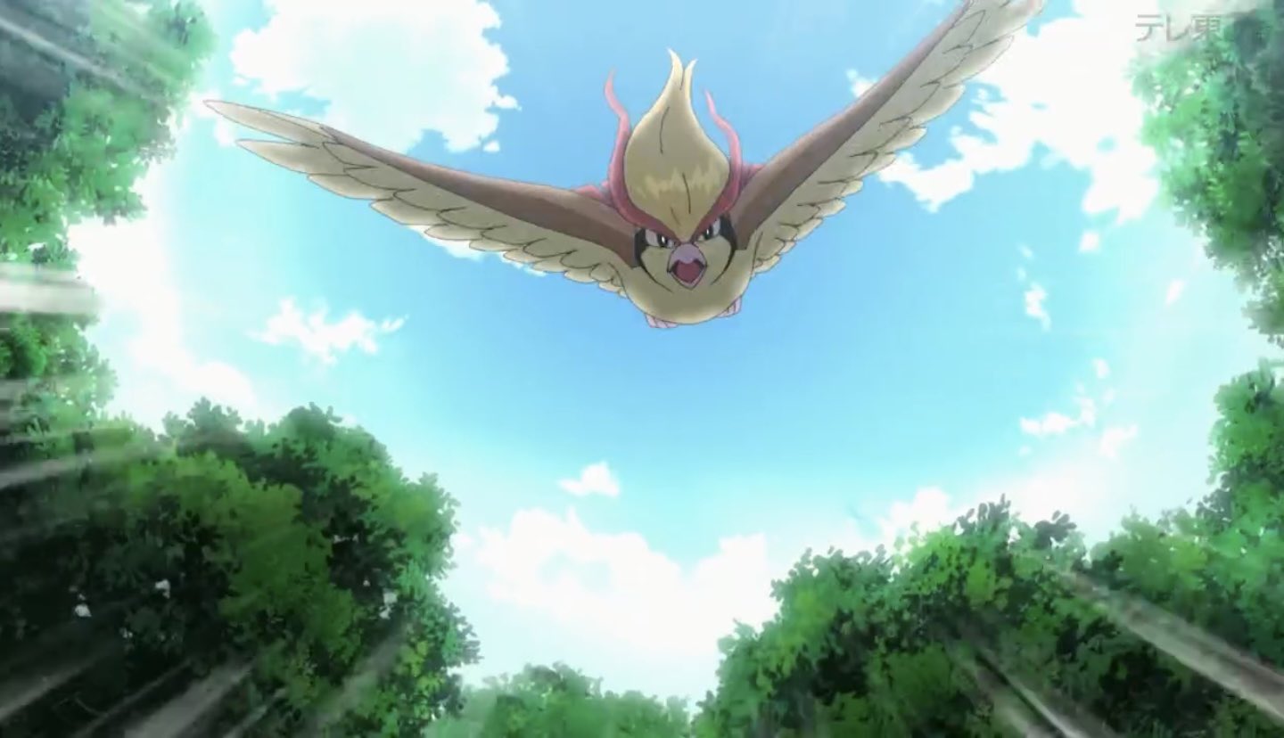 드디어 피존투가 나왔다는 글에 난리난 원피스갤 | 인스티즈