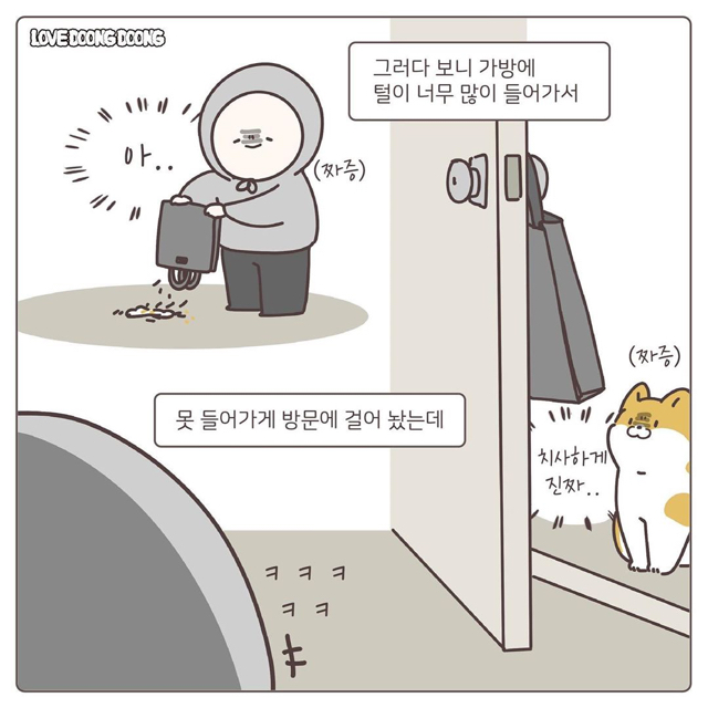 프라이탁 가방에 환장하는 냥이.gif | 인스티즈