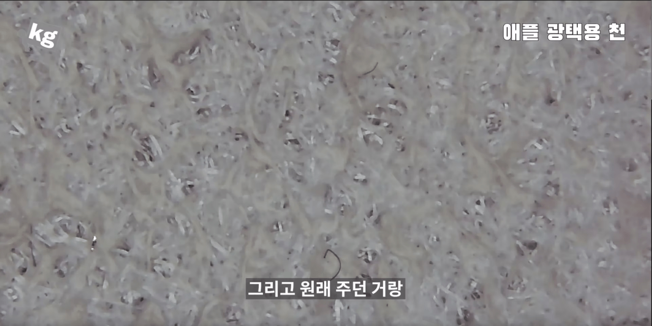 애플의 2.5만원짜리 천쪼가리가 돈값하는지.알아보자 | 인스티즈