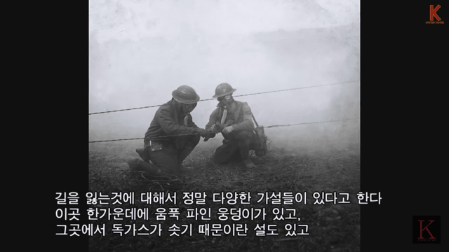 미스테리한 일본의 출입금지된 도심 한복판의 숲 | 인스티즈