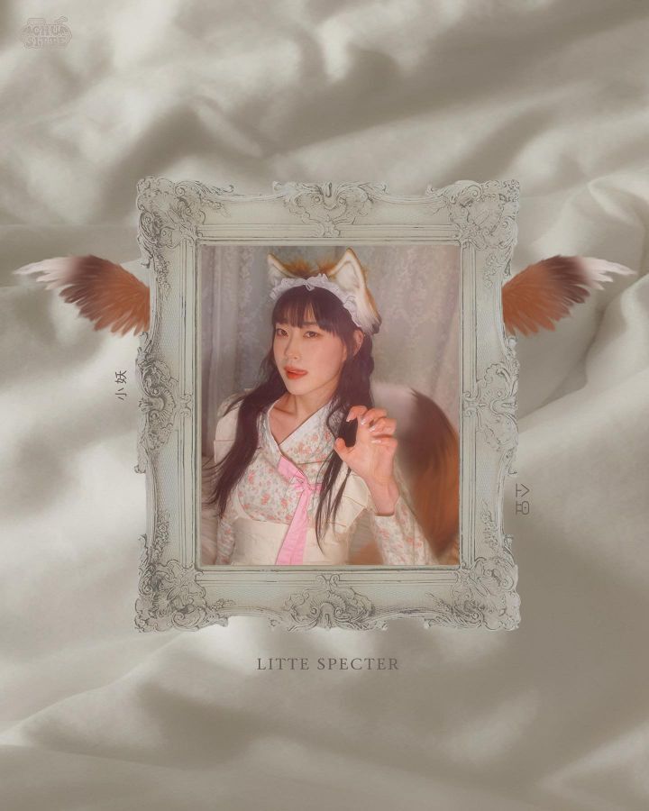 연남동 메이드 카페 다녀온 사람 후기 | 인스티즈