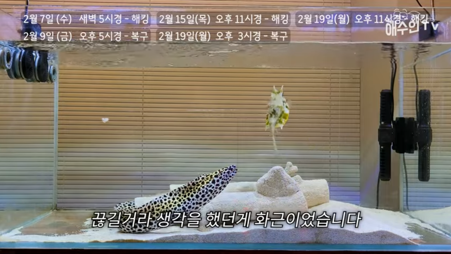 유튜브 계정이 3번이나 해킹 당한 이유 | 인스티즈