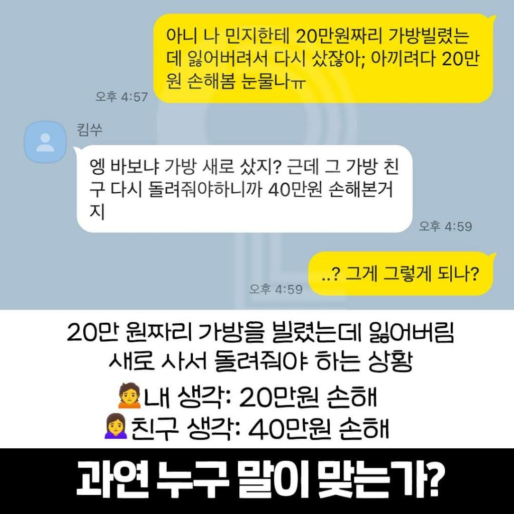 20만원 가방을 빌렸는데 잃어버려서 새로사서 돌려줘야한다면 | 인스티즈