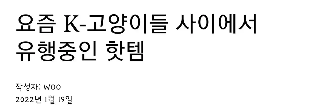 요즘 K-고양이 핫템.JPG | 인스티즈