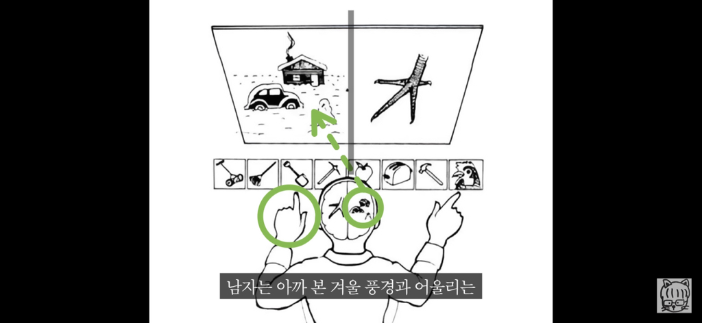 (스압)분리 뇌 실험 | 인스티즈