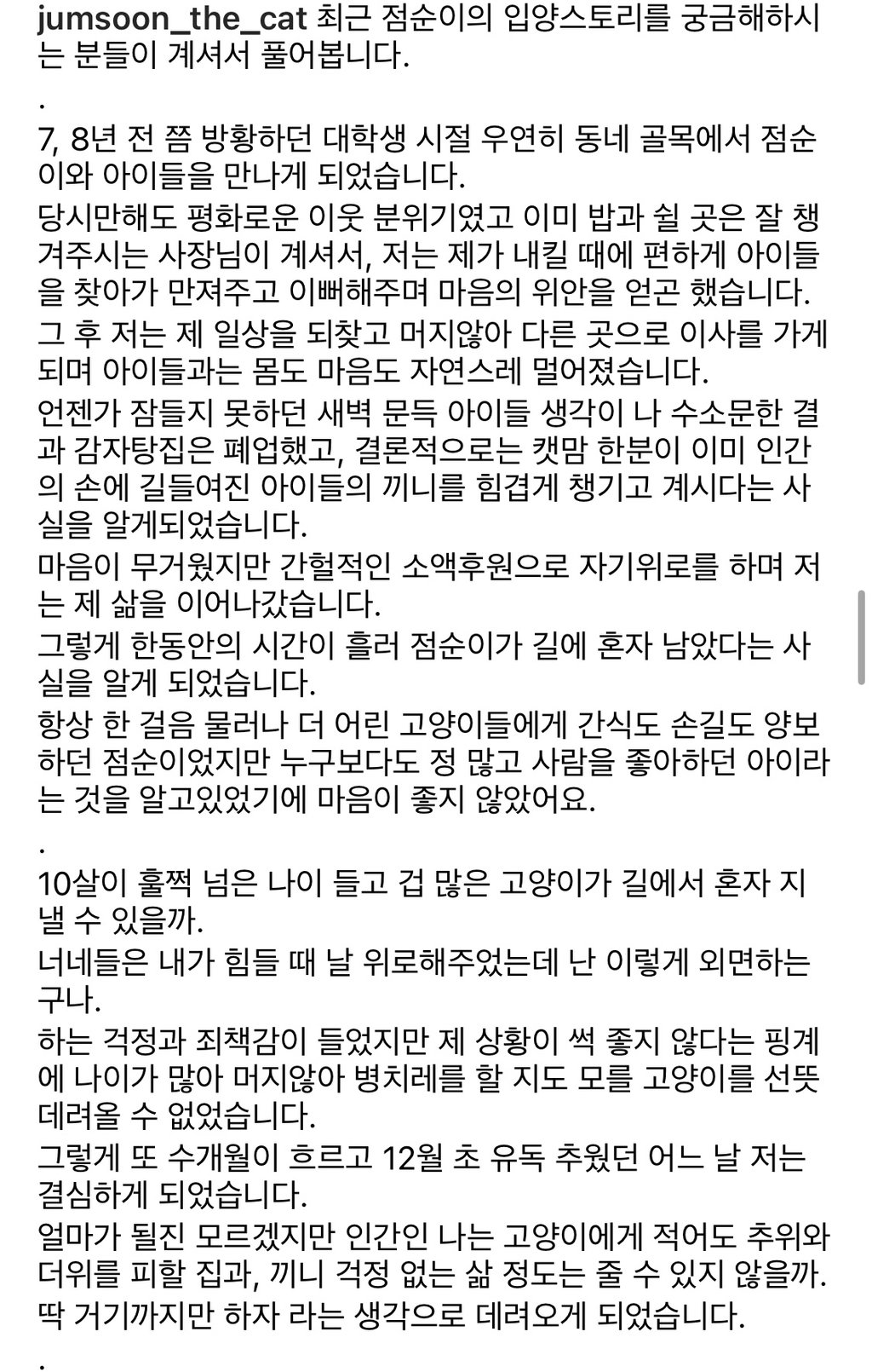 빨래 당하던 고양이 근황 ...jpg | 인스티즈