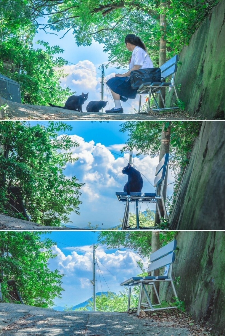 애니메이션 배경풍 사진 찍는 일본 여고생들 | 인스티즈