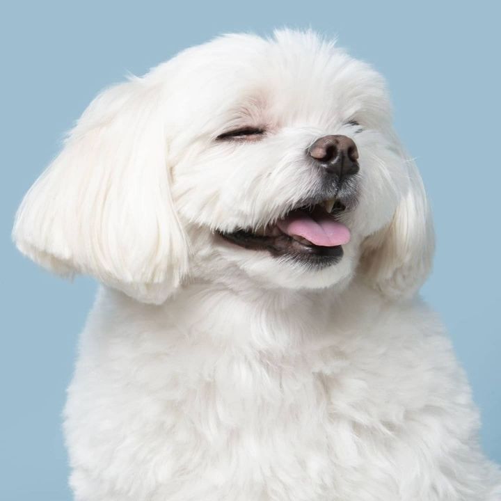 명예 택배사원 경태 프로필사진.jpg | 인스티즈