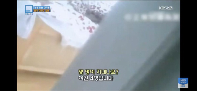 충격과 공포의 중국 대리모 시장 | 인스티즈